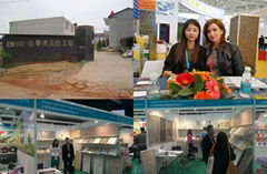 Jiangxi Jiahuamei Shell Development Co., Ltd.