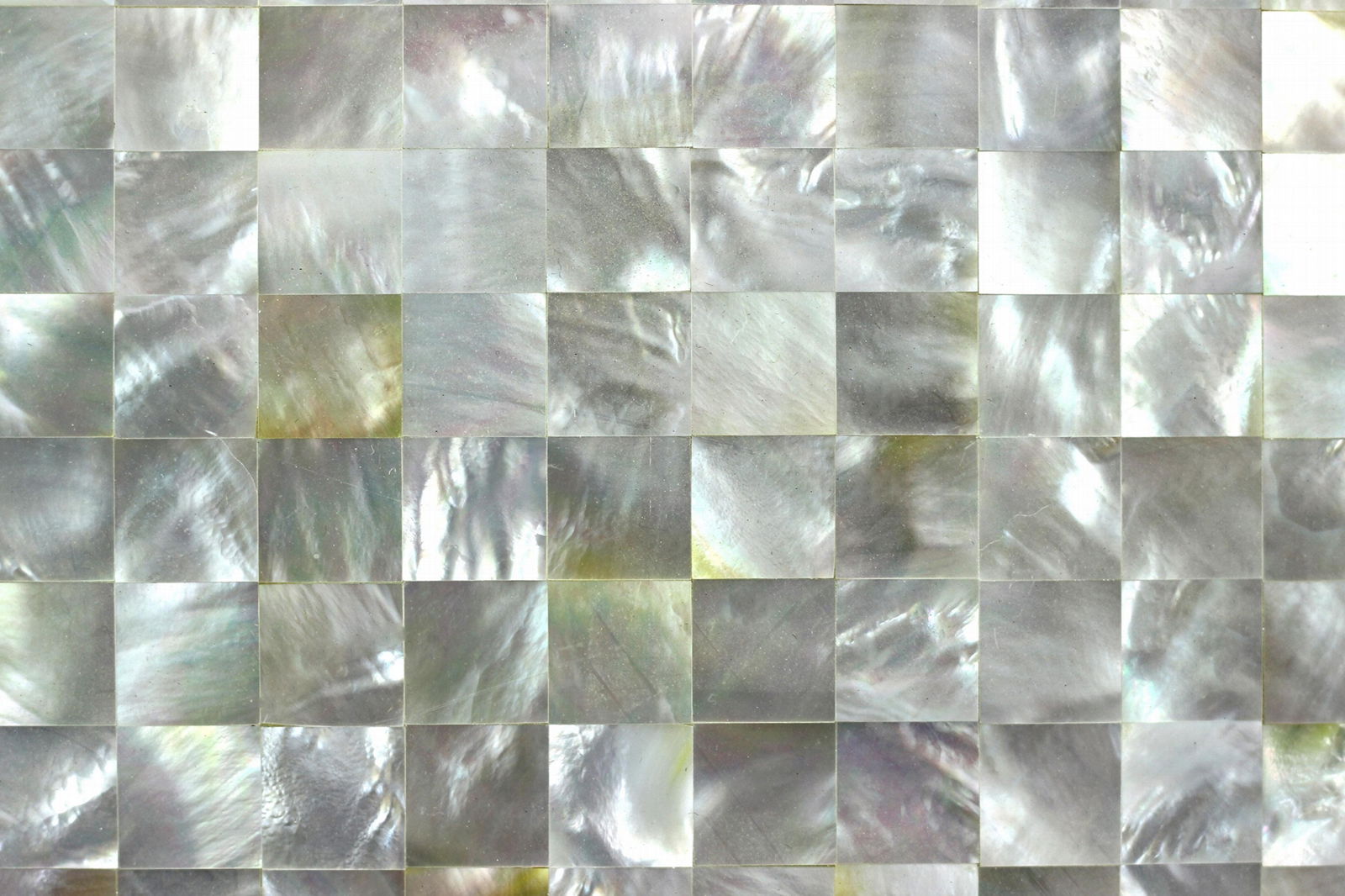 White lip shell mosaic tiles Australia deep sea shell for bathroom price 3
