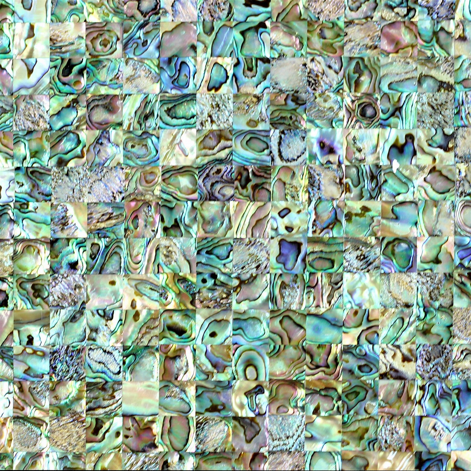 High-end New Zealand abalone mosaics mother of pearl shell mosaic tile