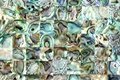 High-end New Zealand abalone mosaics mother of pearl shell mosaic tile 2