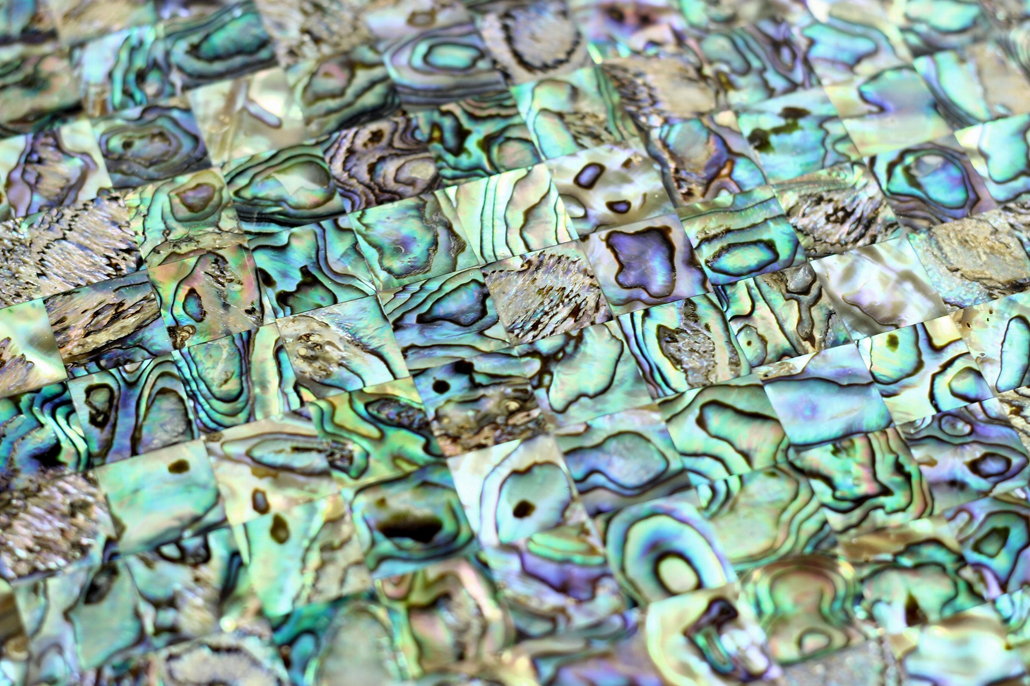 Highend New Zealand abalone mosaics mother of pearl shell mosaic tile