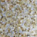 Seamless Yellow lip sea shell mosaics