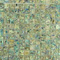 Seamed New Zealand abalone MOP shell mosaic tile Mounted on Mesh 1