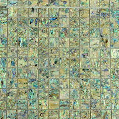 Seamed New Zealand abalone MOP shell mosaic tile Mounted on Mesh