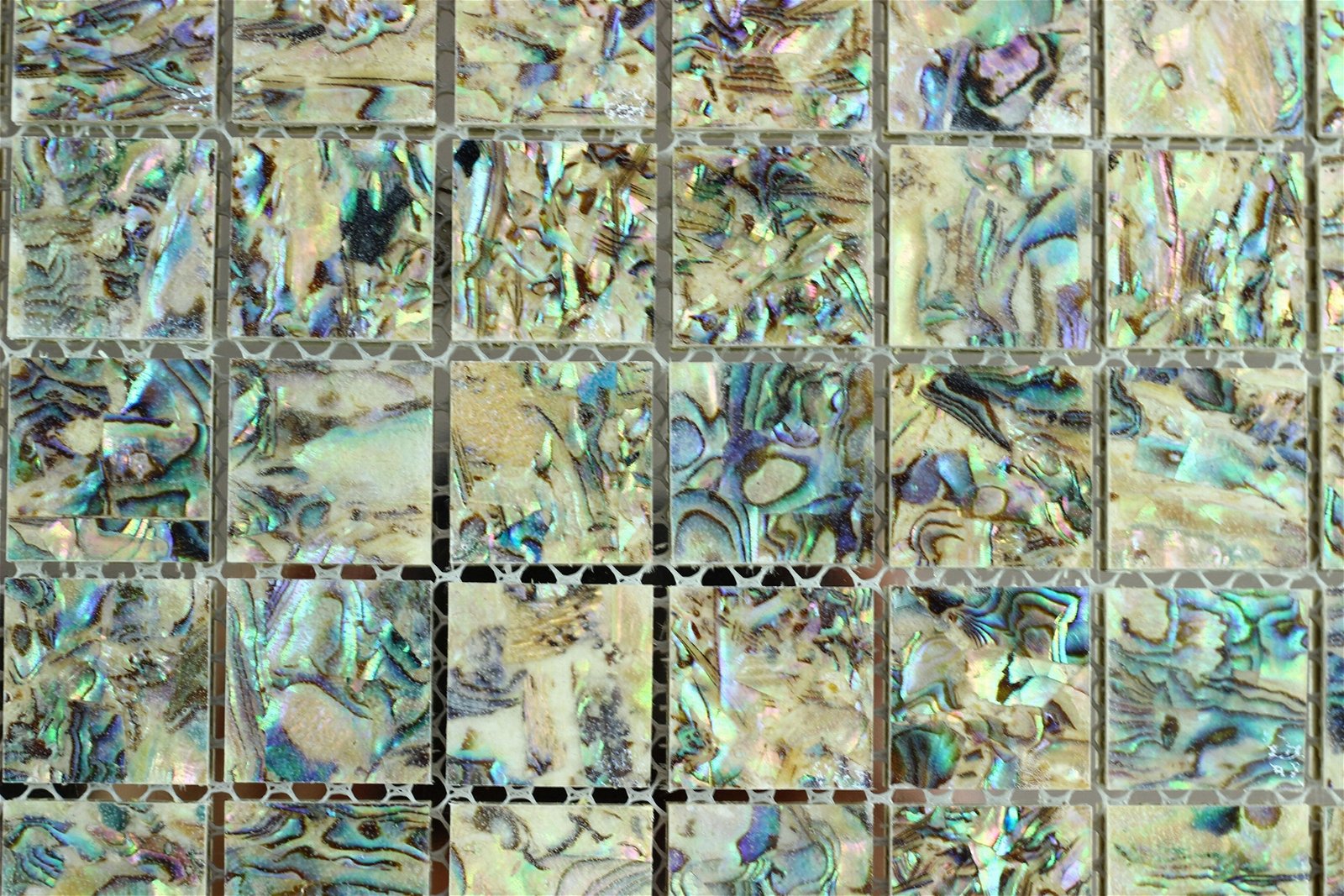Seamed New Zealand abalone MOP shell mosaic tile Mounted on Mesh 2