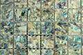 Seamed New Zealand abalone MOP shell mosaic tile Mounted on Mesh 2