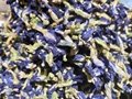 Butterfly Pea,Dried Herb Flower,Dried Blue Flower,500g