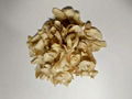 Dried Egible Lily 500g 3