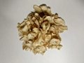 Dried Egible Lily 500g