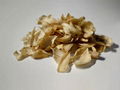 Dried Egible Lily 500g 4