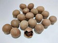 Dried Fruit Longan 500g