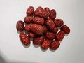 Dried Jujube Red Dates 500g