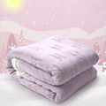 Custom Super Soft Coral Velvet Baby Blanket Children Nap Blanket 4