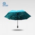 Double layer automatic color picture advertising umbrella 2
