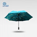 Double layer automatic color picture advertising umbrella