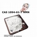 NMN  CAS 1094-61-7 NMN Beta Nicotinamide Mononucleotide