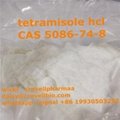 Tetramisole CAS 5086-74-8 supplier in China （whatsapp +86 19930503252