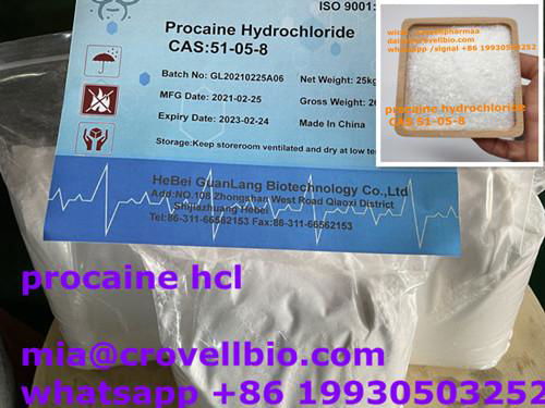 procaine supplier in China ( whatsapp +86 19930503252 2