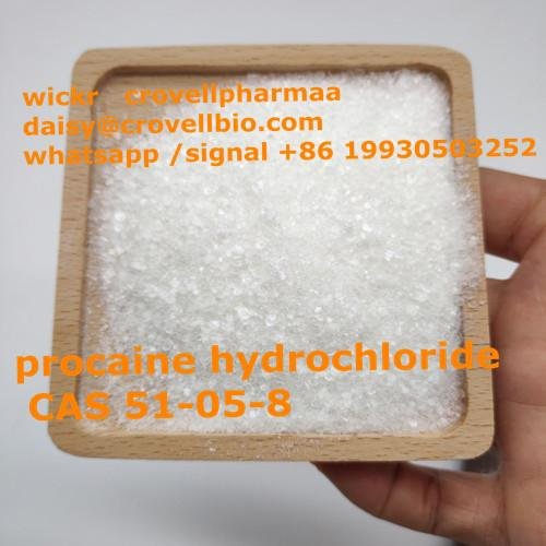 procaine supplier in China ( whatsapp +86 19930503252 3