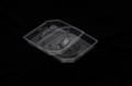 PET recyclable clear plastic insert blister trays vaccum forming blister stock 