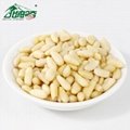 Top quality Siberian pine nuts Korean pine nuts pine nuts kernel 1