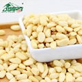 Top quality Siberian pine nuts Korean pine nuts pine nuts kernel 2