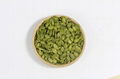 China's AA green pumpkin seed kernels in wholesale sales  2