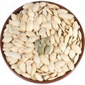 high quality cheap red pumpkin seeds in wholesale sales  1