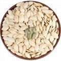high quality cheap red pumpkin seeds in wholesale sales 