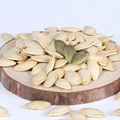 high quality cheap red pumpkin seeds in wholesale sales  3