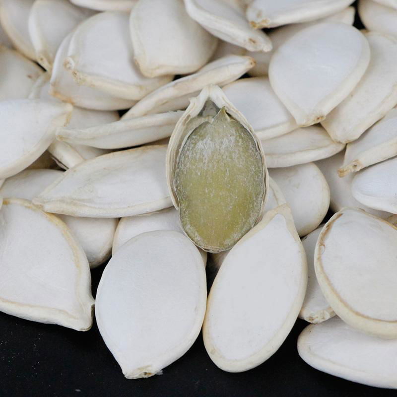 bulk cheap white pumpkin seeds in wholesale sales  3