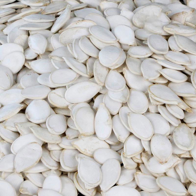 bulk cheap white pumpkin seeds in wholesale sales  5