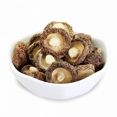 Hot Selling China Shiitake Mushroom Dried Mushroom
