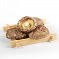 Hot Selling China Shiitake Mushroom Dried Mushroom 2