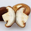 Hot Selling China Shiitake Mushroom Dried Mushroom 4