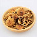 Nameko mushroom nameko shiitake mushrooms 2