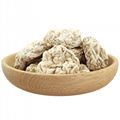 Hot Sale Shiitake Organic Mushroom mouth