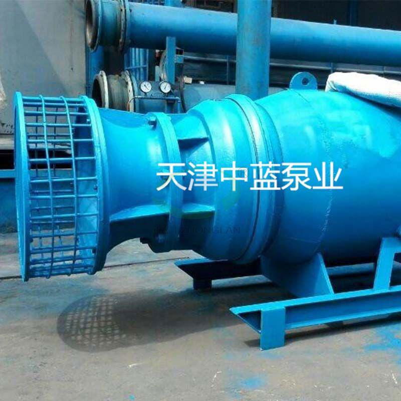 Sleigh Axial-flow Pump 2