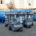 Submersible Sewage Pump