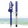 Long shaft deep well Pump