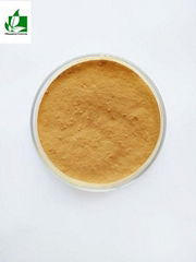 Rhizoma Drynariae extract