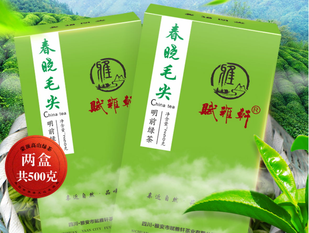 2020 New Green Tea Sichuan Maojian Tea