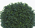 2020 New Green Tea Sichuan Maojian Tea 2