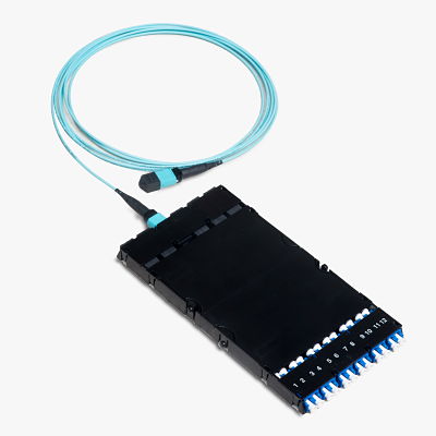 SM 8F MD OFNP 900um MPO MTP to 12 ports LC patch module