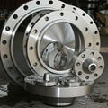 Stainless steel flange 3