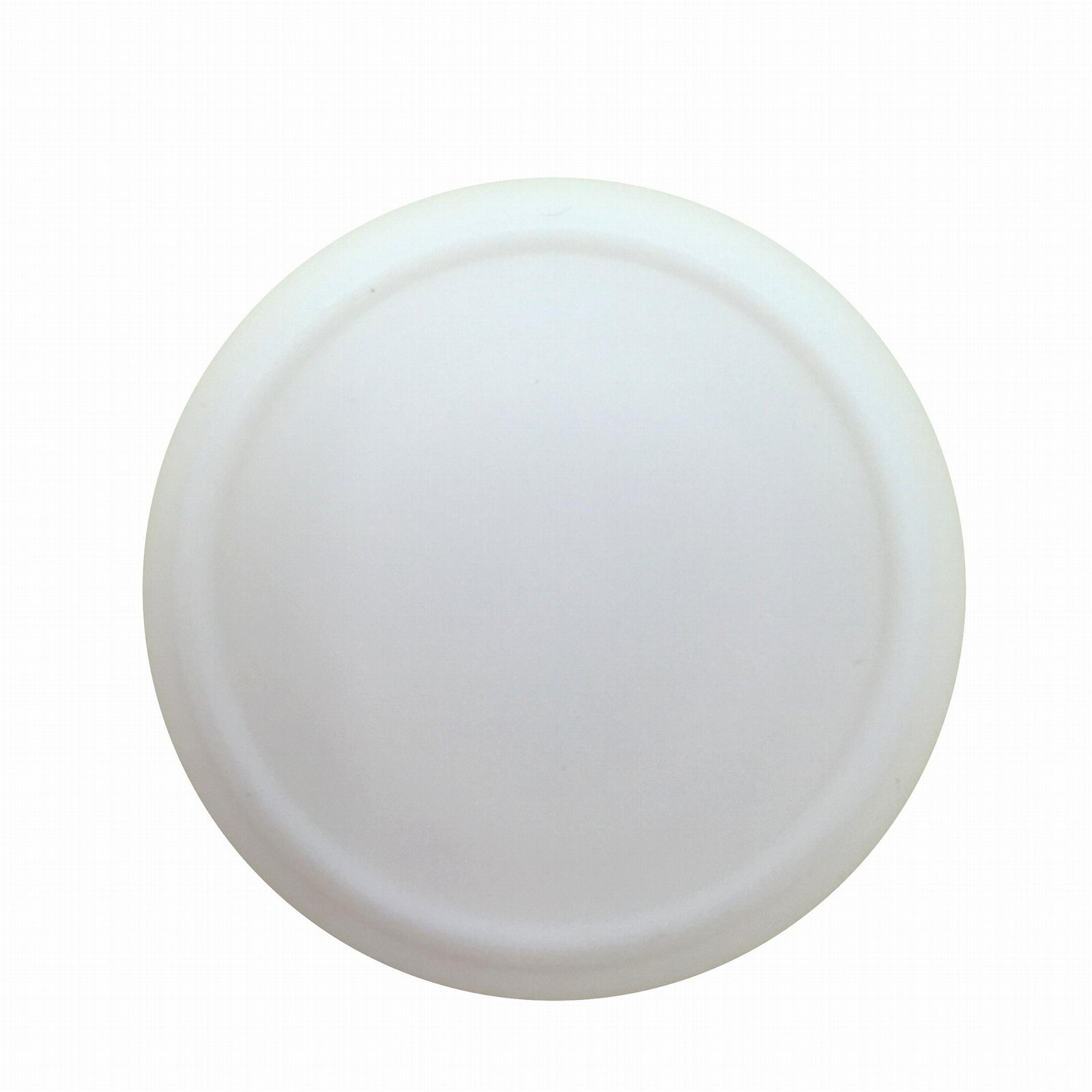Customize Sanitary White PTFE Seal Gasket 2