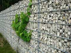 low carbon steel wire Gabions 