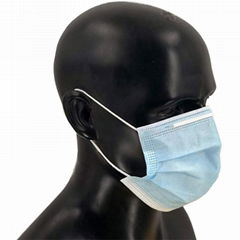 DISPOSABLE PROTECTIVE MASK