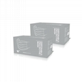 DISPOSABLE PROTECTIVE MASK