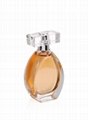  50ml Perfume Bottle